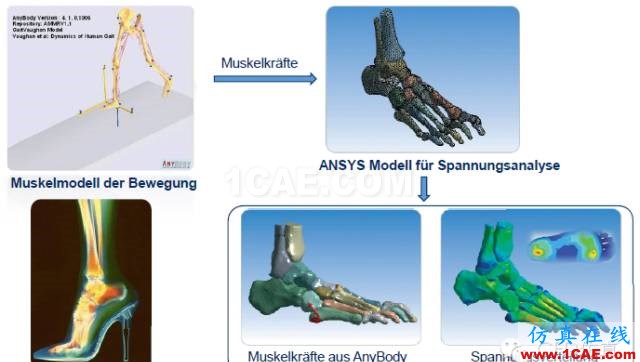 生命中的一天｜CAE仿真無處不在【轉(zhuǎn)發(fā)】ansys結(jié)構(gòu)分析圖片7