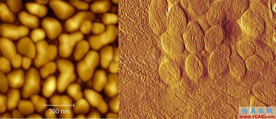 機械設(shè)計的高級境界：四大顯微設(shè)備SEM、TEM、AFM、STM工作原理，看圖說話機械設(shè)計圖例圖片21