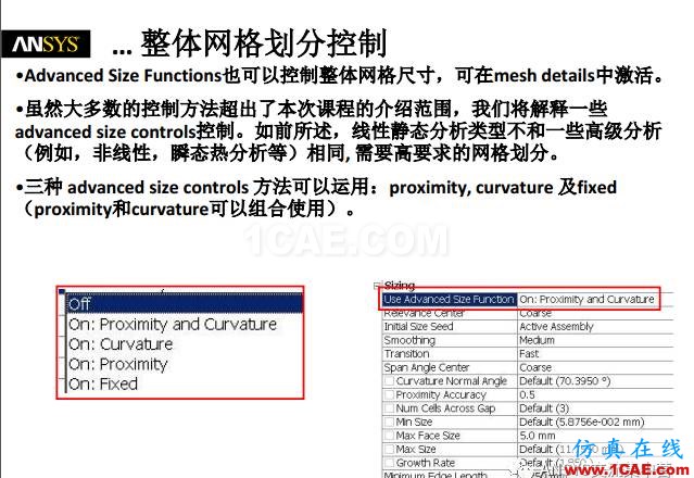 ansys技術(shù)專(zhuān)題之 網(wǎng)格劃分ansys培訓(xùn)課程圖片8