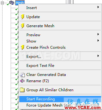 ANSYS Workbench Meshing網(wǎng)格錄制Start Recording的方法說(shuō)明ansys圖片5