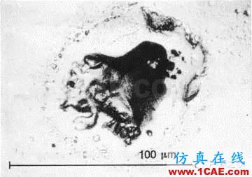 SKF軸承失效分析：失效形式、特征及可能原因機(jī)械設(shè)計圖片49