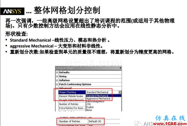 ansys技術(shù)專(zhuān)題之 網(wǎng)格劃分ansys圖片11