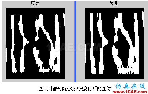 代做畢業(yè)設(shè)計(jì)-MATLAB的條碼、車牌、指紋、圖像識別-QQ572426200