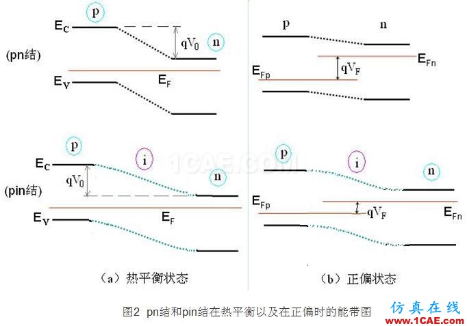 PIN結(jié)與PN結(jié)的特性比較 - 學(xué)習(xí) - 學(xué)習(xí)、學(xué)習(xí)、再學(xué)習(xí)