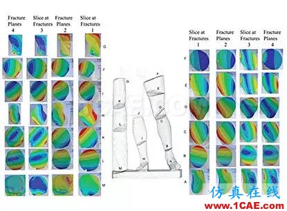 美國仿真專家首次利用ANSYS協(xié)助修復(fù)破損的雕塑ansys培訓(xùn)課程圖片4