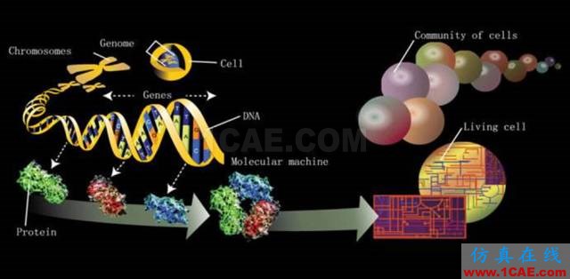 【資訊】強(qiáng)勢圍觀！Science公布的125個(gè)科學(xué)前沿問題!圖片61