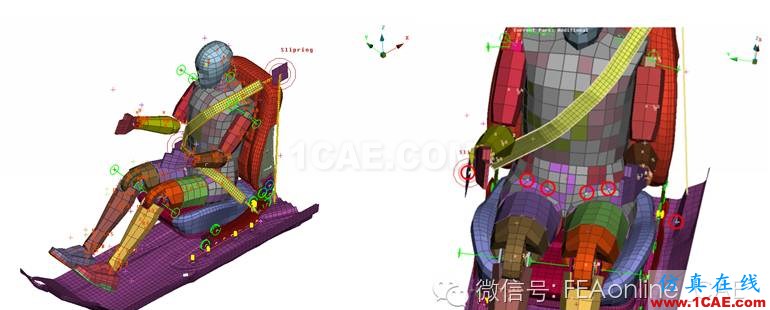 ANSA for LS-DYNA面板下建立安全帶ANSA分析案例圖片6