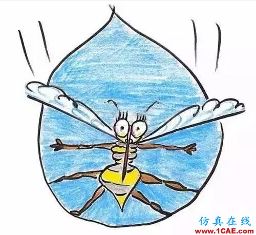 為什么蚊子永遠(yuǎn)不會被雨砸死？千萬別被孩子問住了！fluent流體分析圖片12