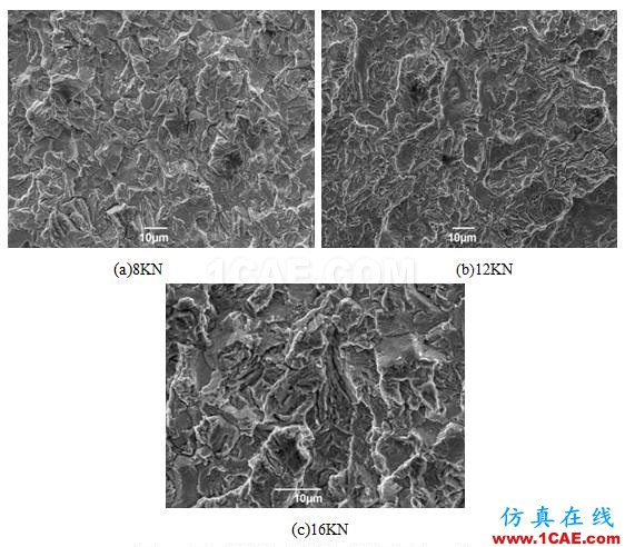 鉆桿鋼腐蝕疲勞的斷口分析ansys分析圖片3